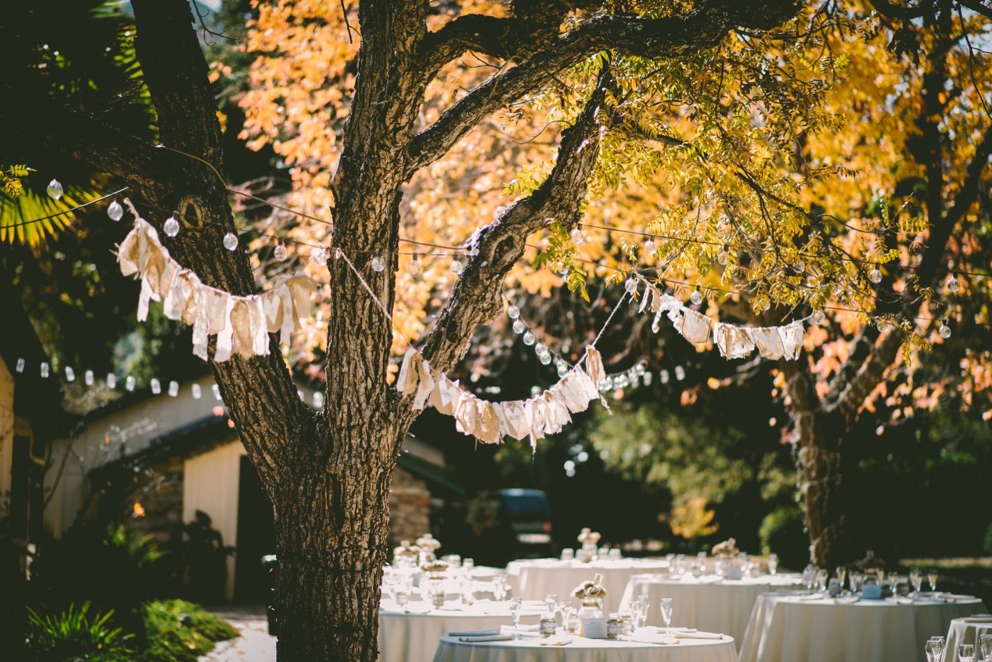 How to Have a Summer Wedding in Arizona: A Complete Guide